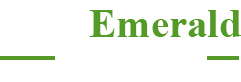 TVS Emerald Luxor Logo